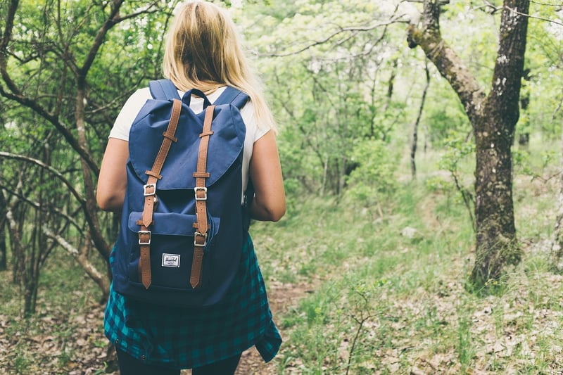 Backpack Cover